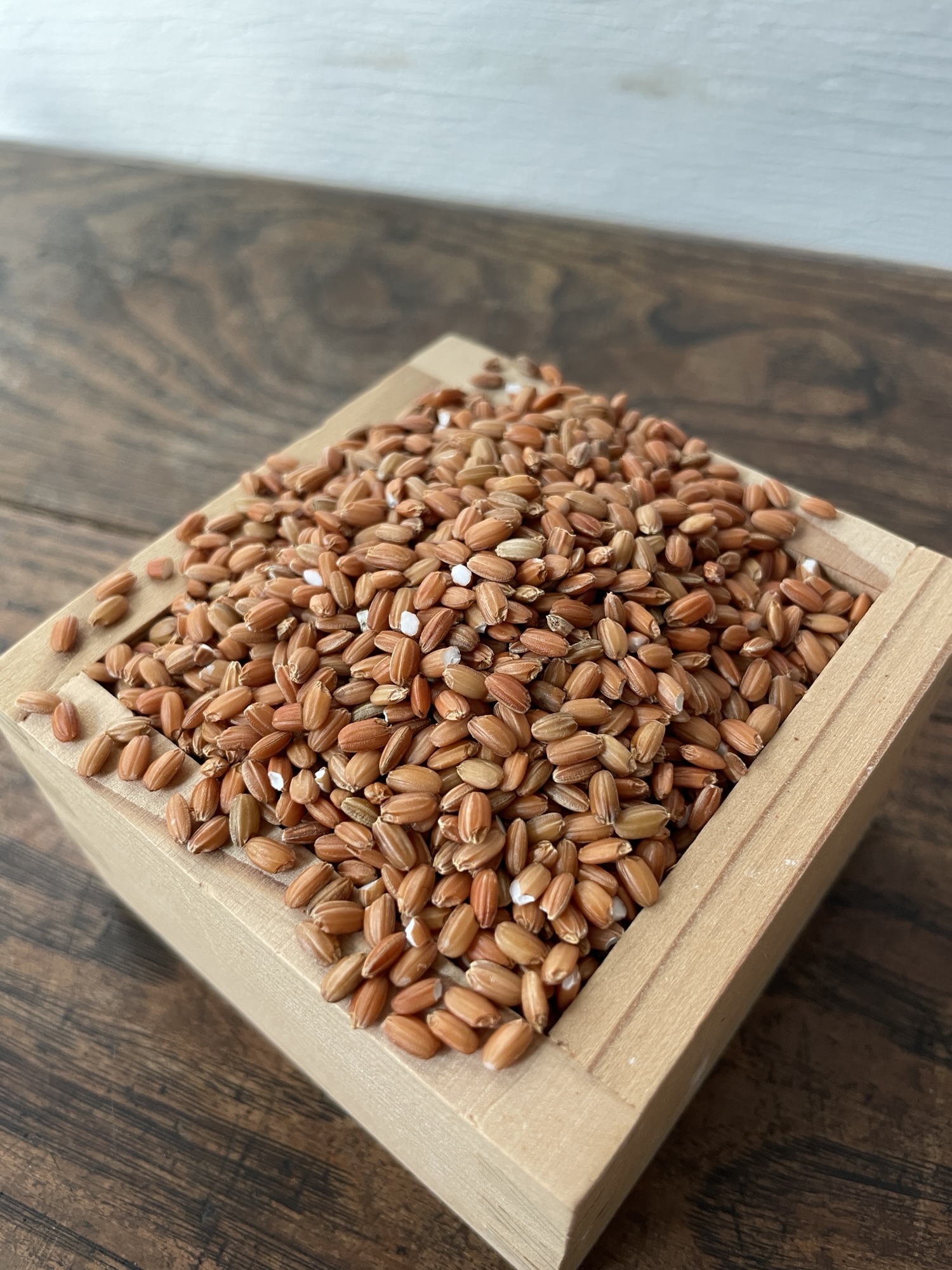 自然農古代米の赤米